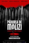 Pădurea de molizi