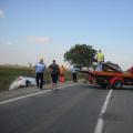 Yellow-angel Oradea (Dublu Trans Service Srl)