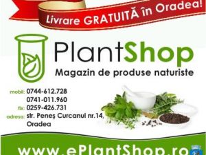 Plant Shop