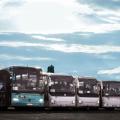 Scorte Trans Com Srl
