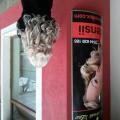 Salon Extensii Lux