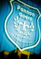 Pannon Guard Security International S.r.l