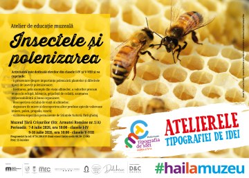 Insectele și polenizarea
