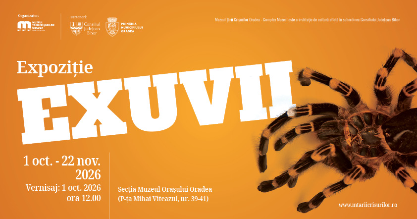 Muzeul Țării Crișurilor deschide expoziția Exuvii, dedicată năpârlirii tarantulelor