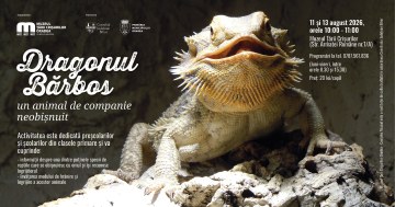 Dragonul Bărbos – un animal de companie neobișnuit