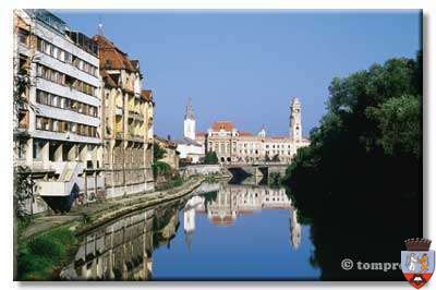 Primaria Oradea