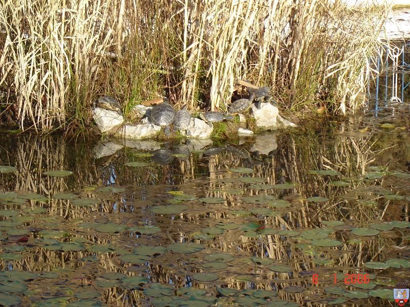 Imagini din Baile-Felix