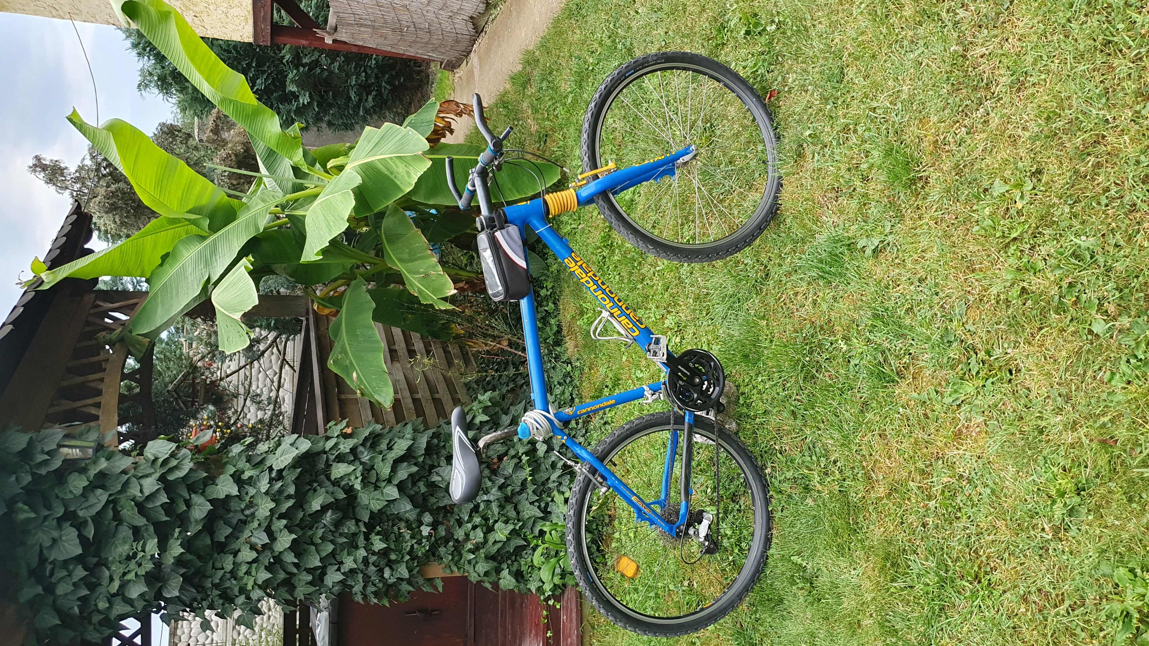 Bicicleta Vintage Cannondale Team Blue F800