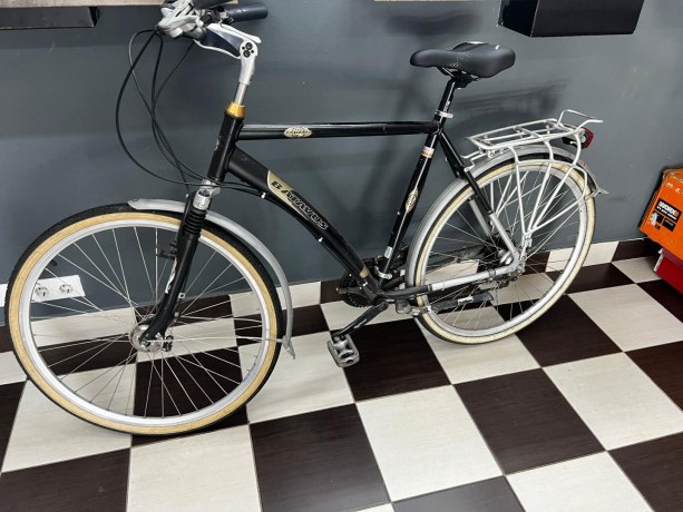 Bicicleta Batavus Jakima