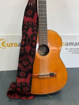 Chitară clasică - 2