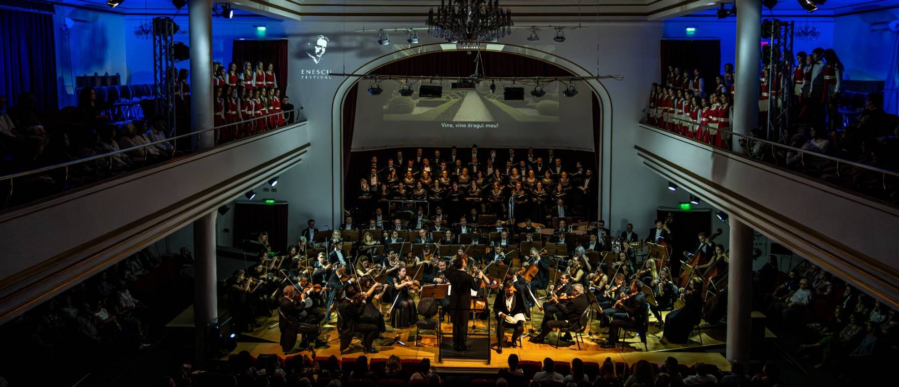 Filarmonica din Oradea organizează audiții pentru patru posturi instrumentale